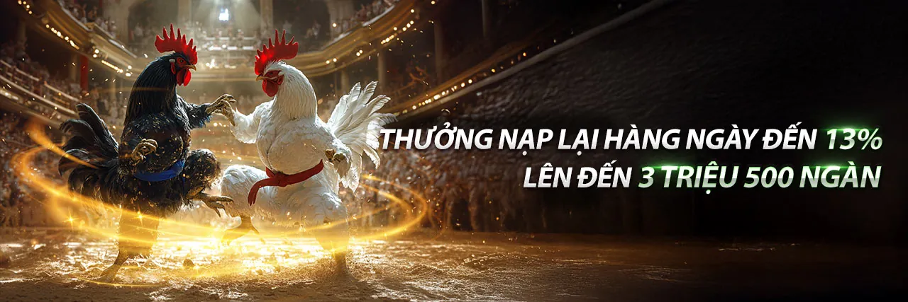 Hình ảnh chính blog vn68 nhà cái với các yếu tố cá cược trực tuyến